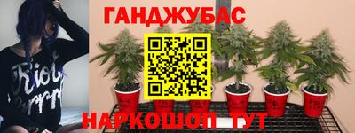 mdpv Кандалакша