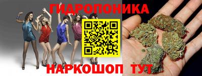 СК Камышлов