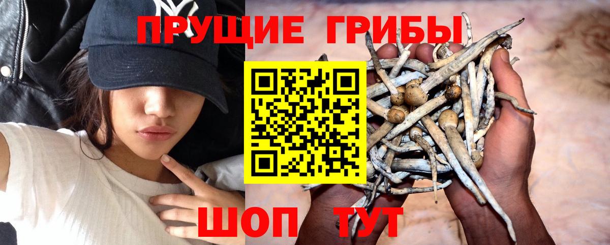 ГАШ  ГАШИШ  Лосино-Петровский  COCAIN  Марихуана  Вход с VPN  Меф  МЕФ  